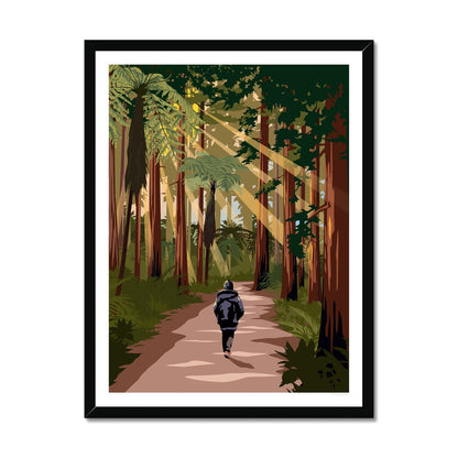 Rotorua - Redwoods Forest - Travel Poster, New Zealand